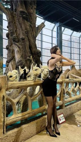 就是阿朱啊 – 微密圈 对动物下手 [11P/1V/19MB]